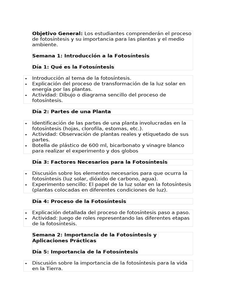 Actividades Interactivas sobre Fotosíntesis | PDF | Fotosíntesis | Plantas