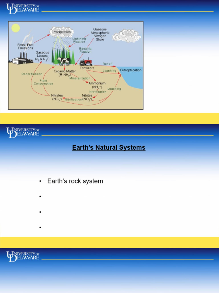 Lesson+6+ +Chemical+Cycles+and+Their+Impact | PDF | Dead Zone (Ecology ...
