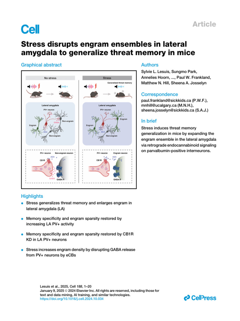 Examining Object Location And Object Recognition Memory In Mice