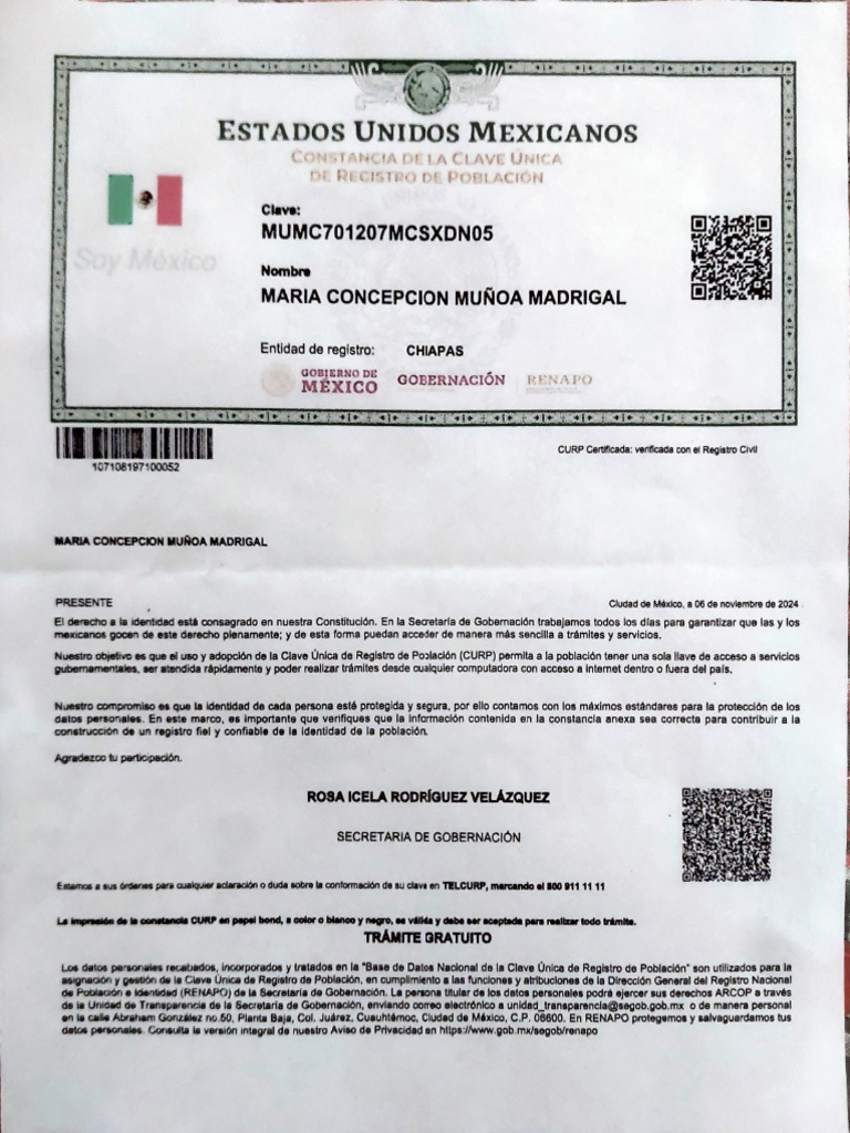 Adobe Scan 11 Nov 2024 | PDF | Informática