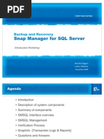 Download Snap Manager for SQL Workshop by aeiou1985 SN80458017 doc pdf