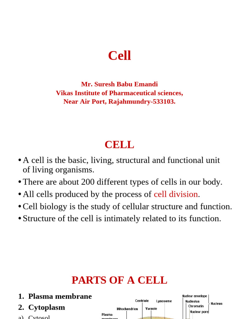 Cell | PDF | Endoplasmic Reticulum | Cell (Biology)