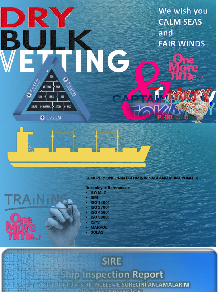 Dry Bulk Vetting | PDF