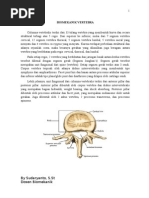 Download Biomekanik Vertebra by irsyamfisio SN80458580 doc pdf
