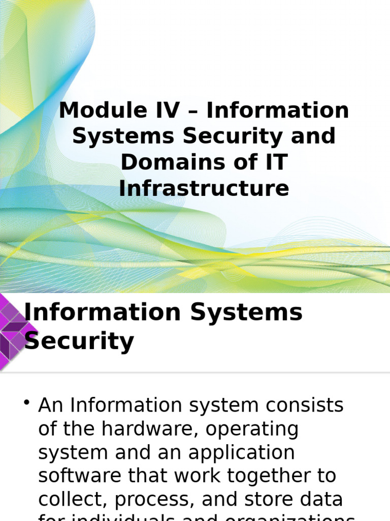 Module IV Information Systems Security Domains of IT Infrastructure ...