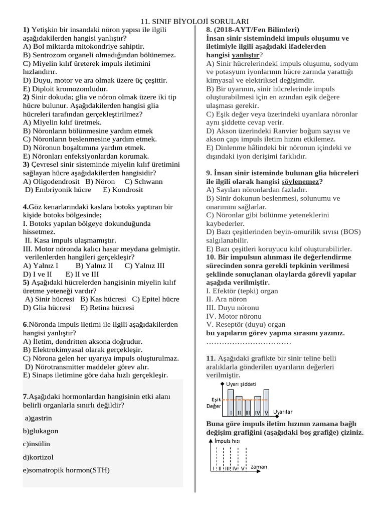 Sınıf SORULAR | PDF