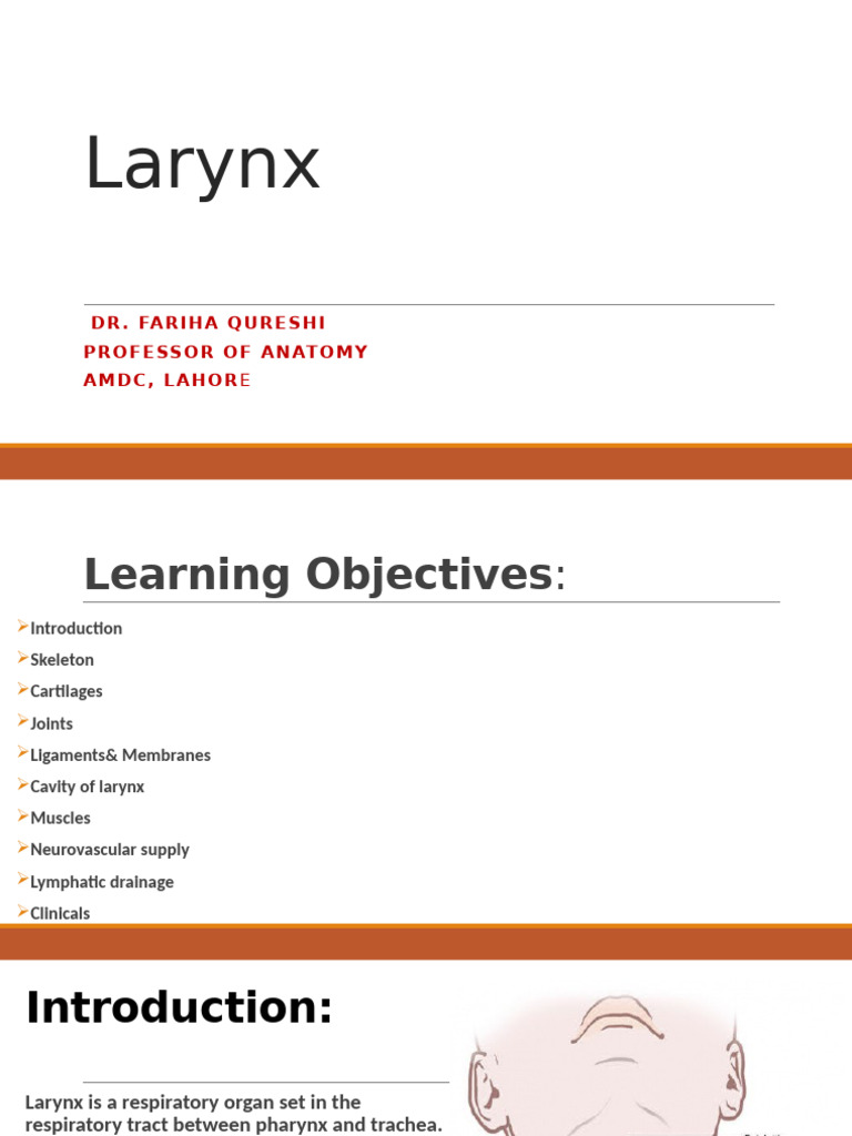 Larynx [Autosaved] | PDF | Larynx | Human Head And Neck
