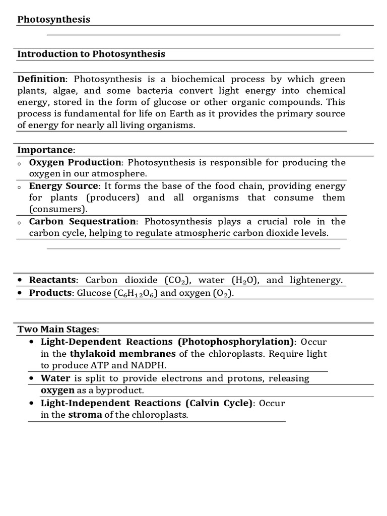 Understanding Photosynthesis Process | PDF | Leaf | Plant Nutrition