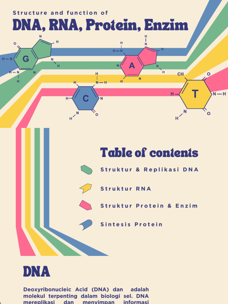Peran DNA dan RNA dalam Sintesis Protein | PDF