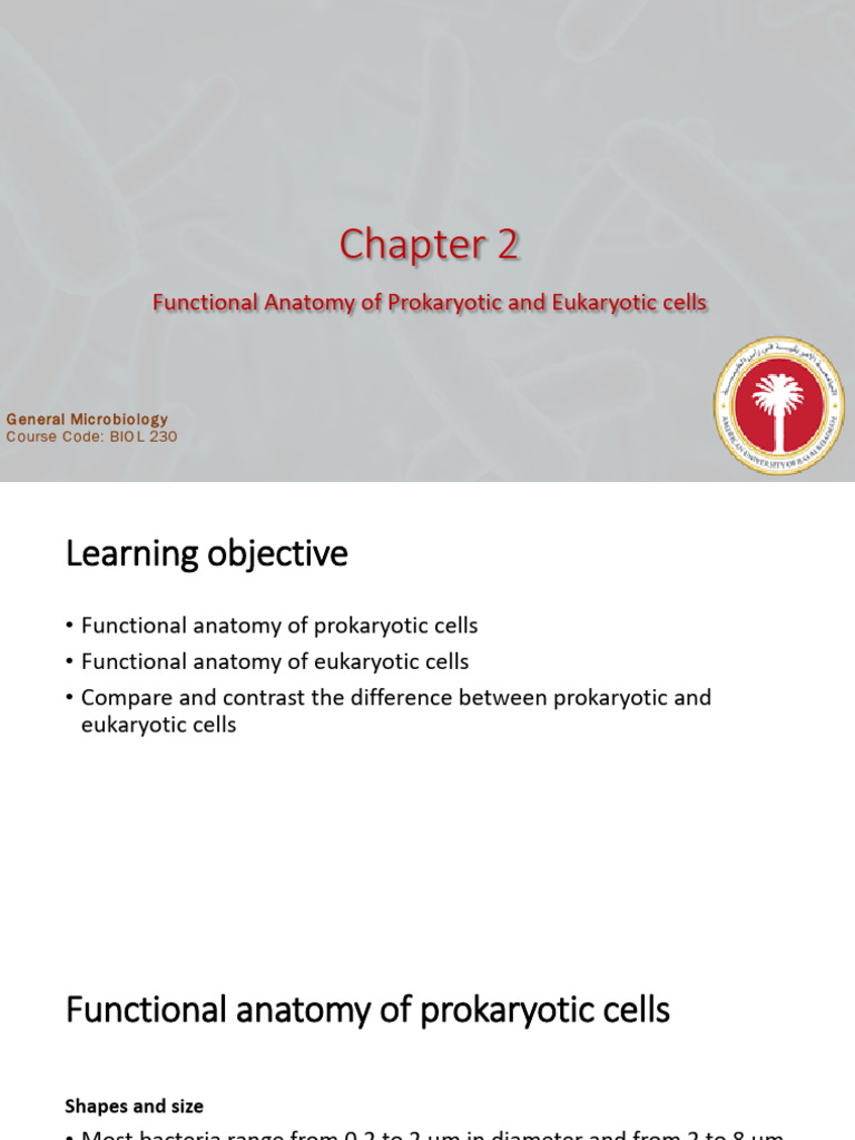 Chapter 2 Functional Anatomy of Prokaryotic and Eukaryotic Cells | PDF ...