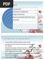 Download Facial Nerve by Kishor Bhandari SN80463481 doc pdf