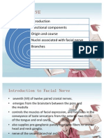 Facial Nerve
