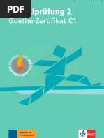 Goethe C1 Schreiben Teil 1 | PDF