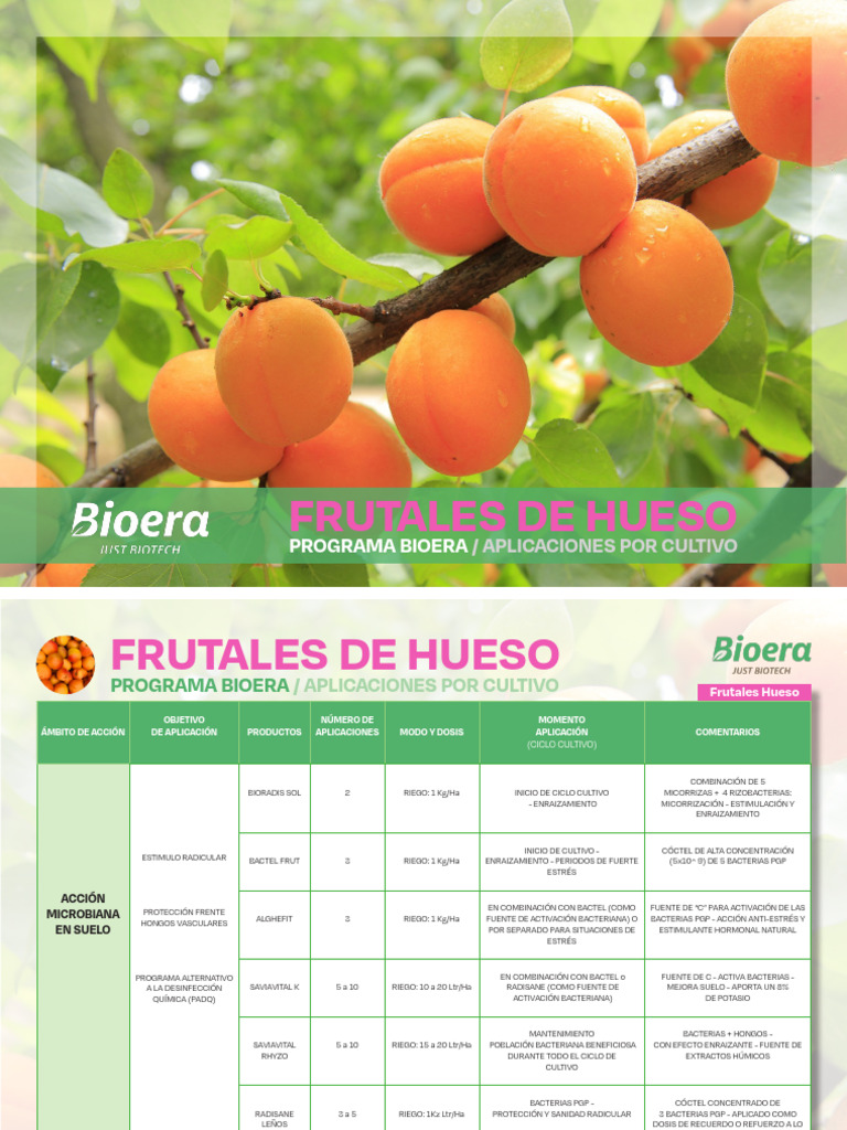 cc-frutales-de-hueso-edici-n-2022-pdf-riego