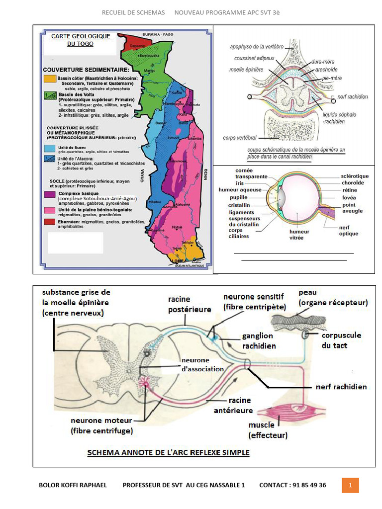 recueil-de-sch-mas-svt-3-me-apc-pdf
