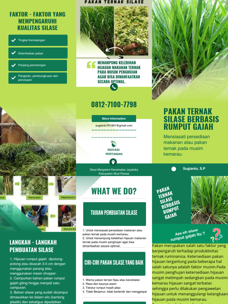 Pamflet Silase Berbasis Rumput Gajah | PDF