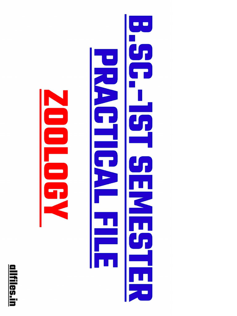 CLASS 11 ZOOLOGY PRACTICAL visual data 8