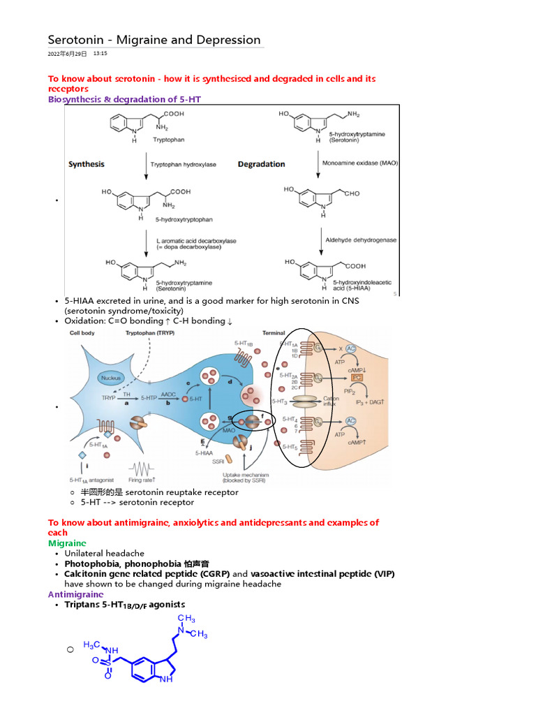 filesample | PDF | Serotonin | Antidepressant