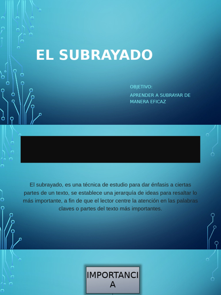 El Subrayado Comunicacion | PDF