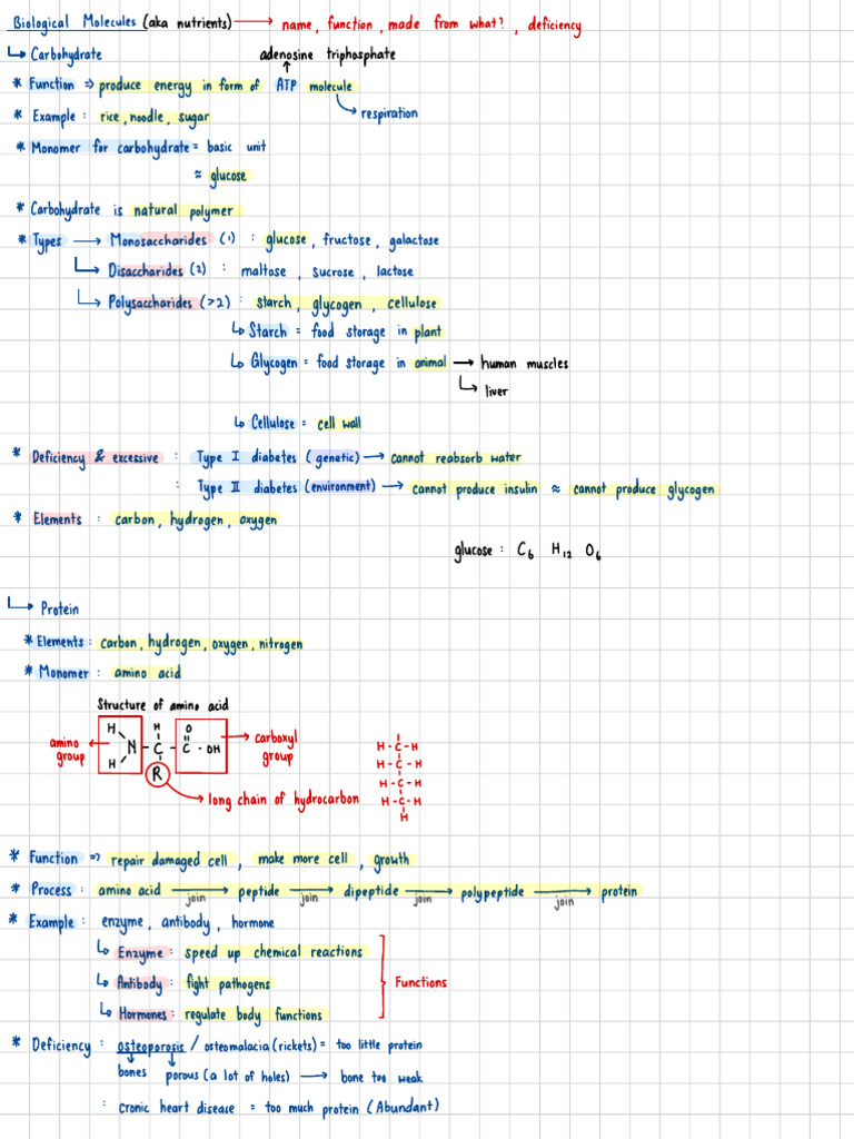 Biology Nutrition Pdf Digestion Carbohydrates