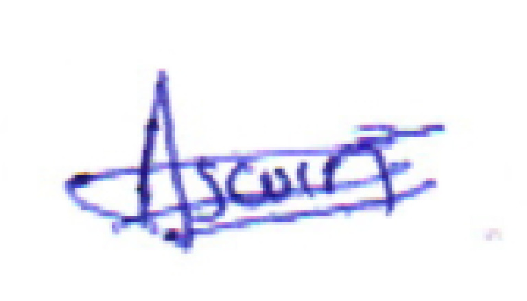 Sign Cropped | PDF