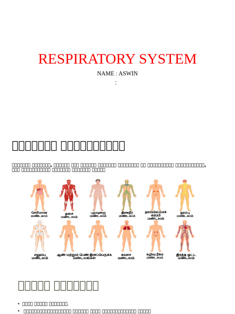 Respiratory System | PDF