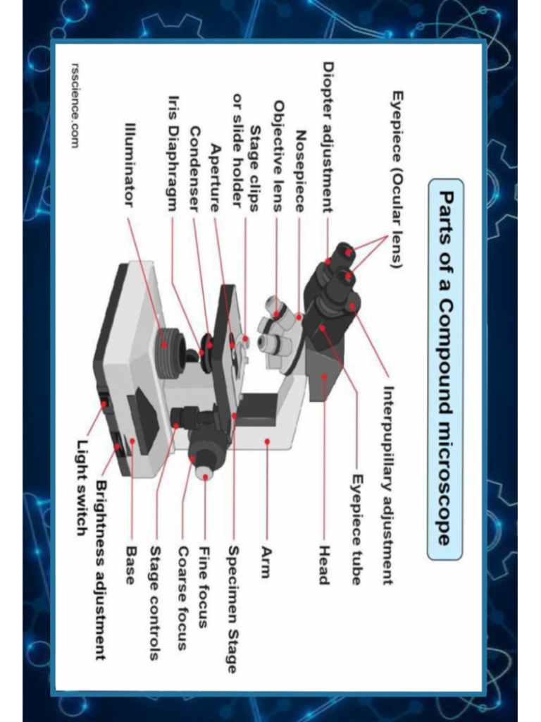 Parts of Compound Microscope | PDF