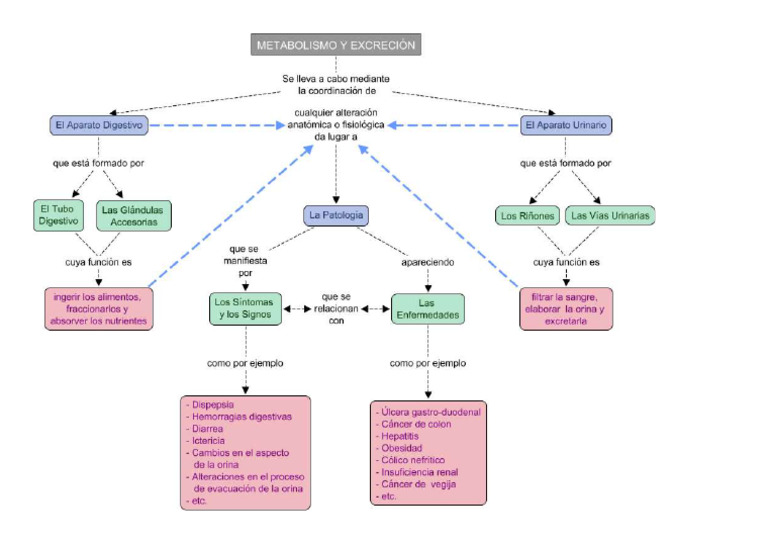 Mapa Conceptual Tema 5 | PDF