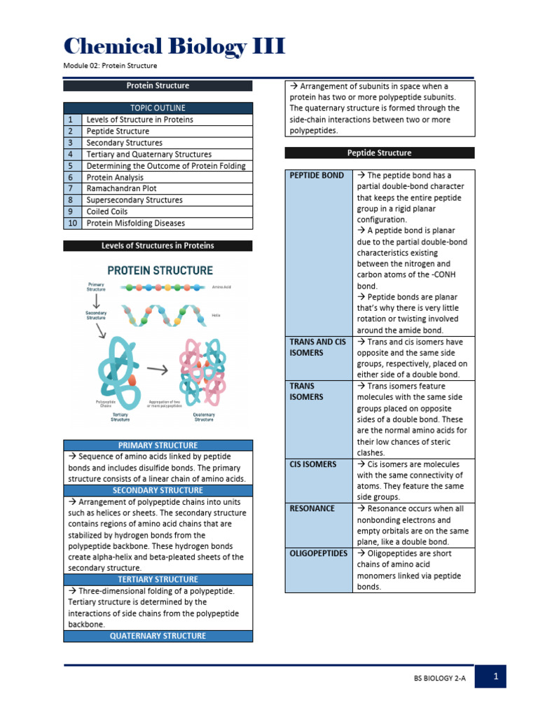 Transes | PDF | Alpha Helix | Protein Structure