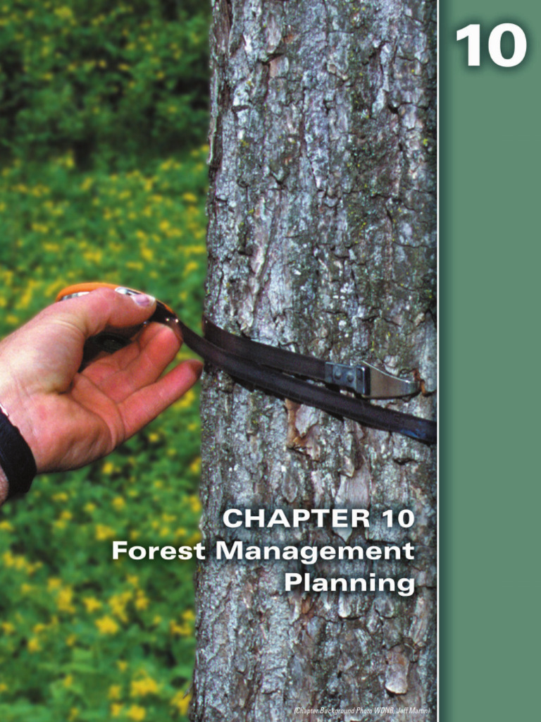 Forest Management Planning Guide | PDF | Forestry | Invasive Species
