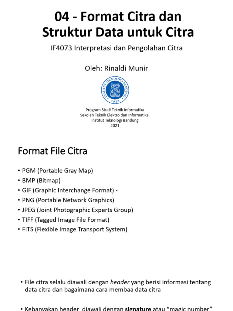 Format dan Struktur Data Citra Digital | PDF