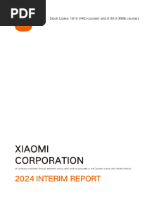 XIAOMI 2024 Financial Statements.pdf