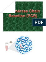 7.8. PCR