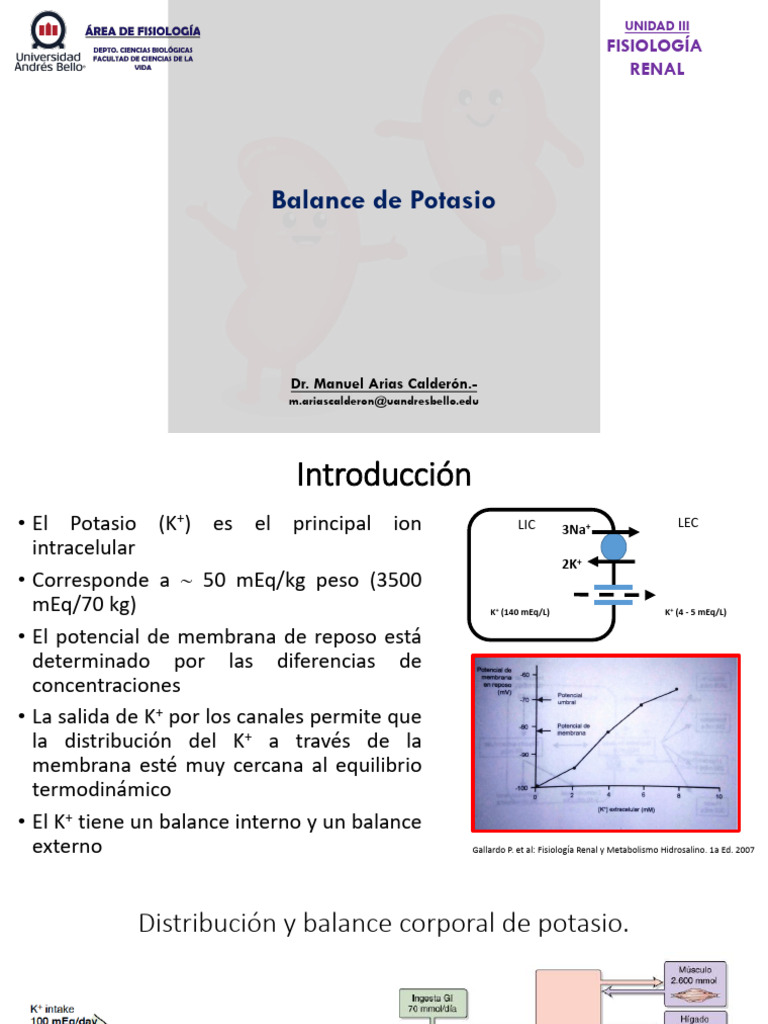 Balance de Potasio Renal | PDF | Electrocardiografia | Potasio