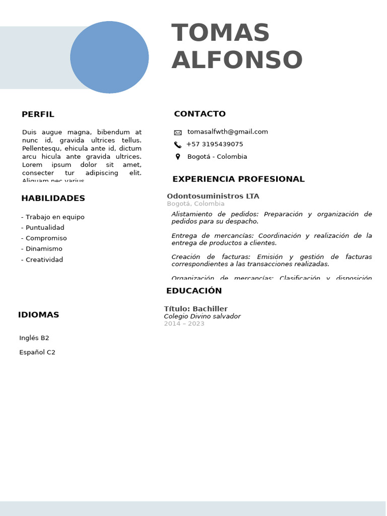 211 Curriculum Vitae Hombre | PDF
