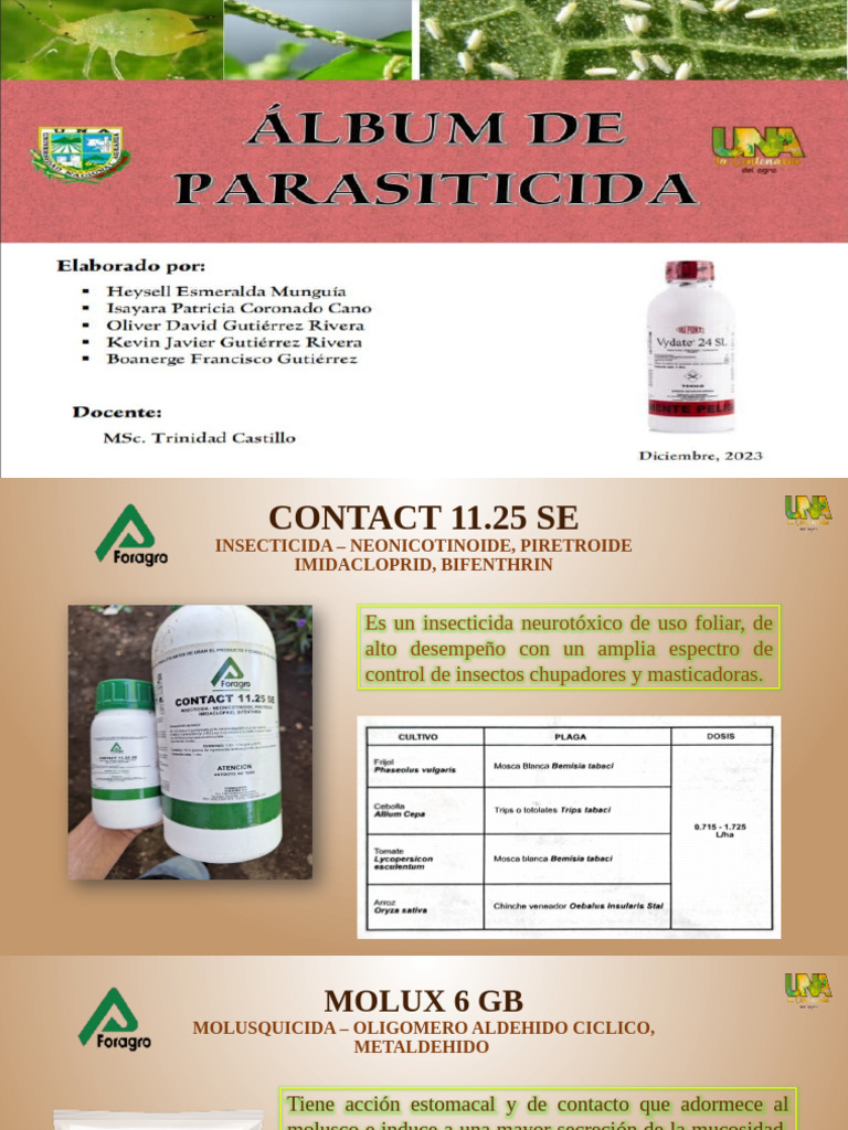 Fungicidas e Insecticidas Agrícolas | PDF | Arroz
