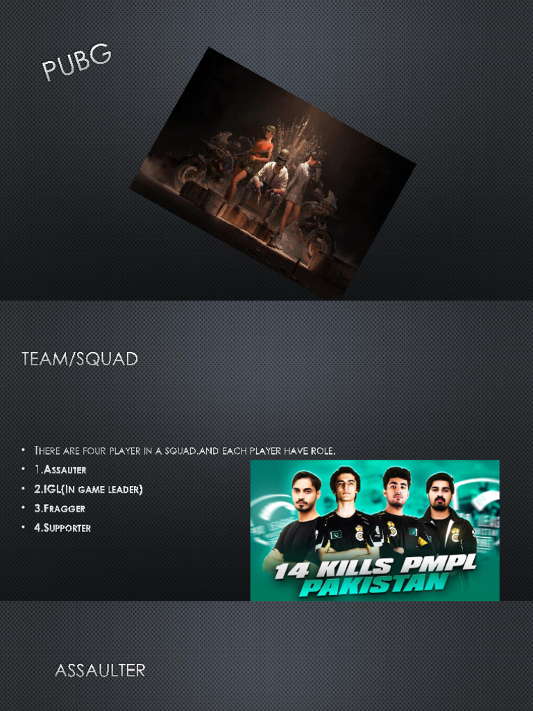 PUBG Squad Roles Explained | PDF