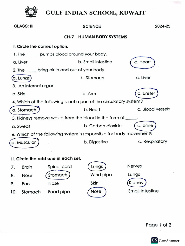 Science | PDF
