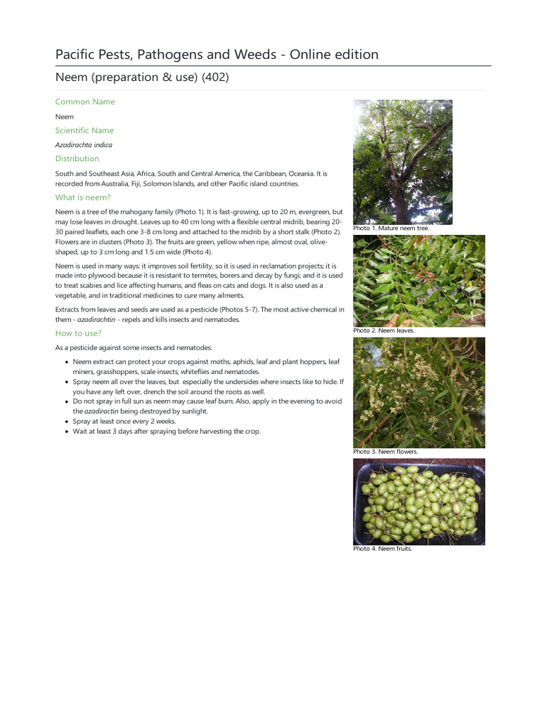 Neem Preparation Use 402 | PDF | Botany | Plants