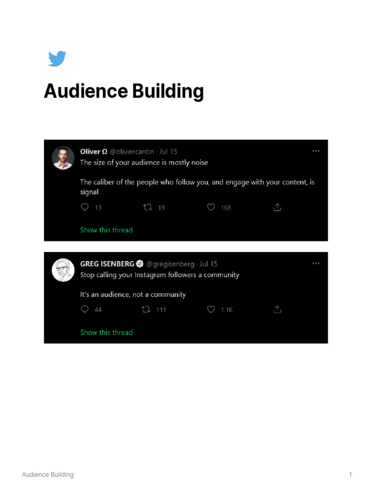 Effective Audience Building Strategies | PDF
