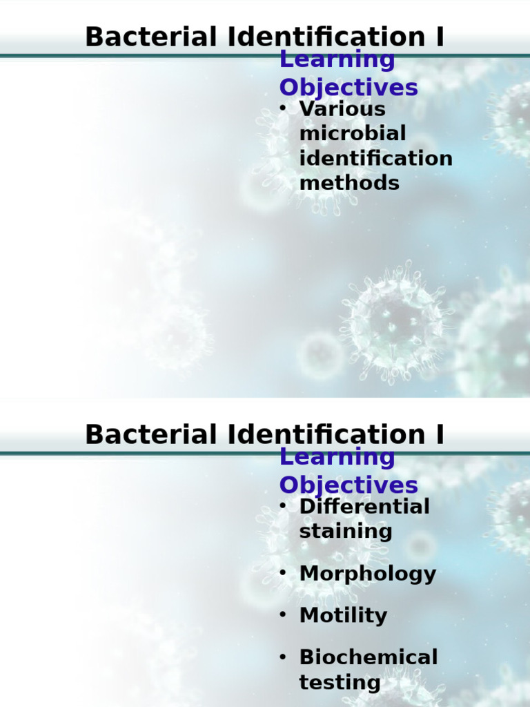 Microbial Identification Methods Overview | PDF