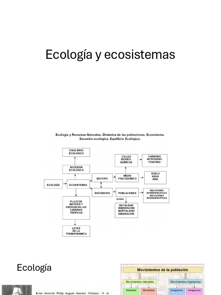 Ecología: Interacciones y Ecosistemas | PDF | Ecología | Ecosistema