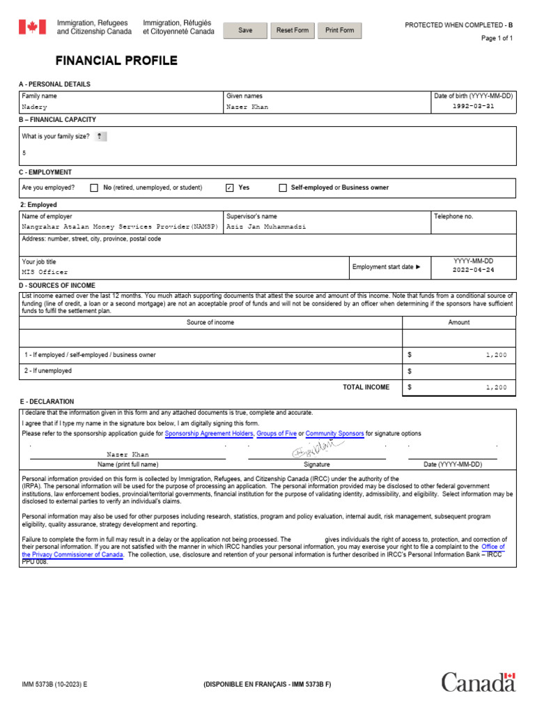 Financial Profile for Immigration Application | PDF