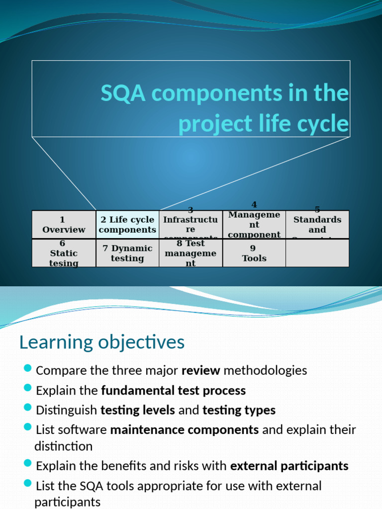 SQA Components in Project Life Cycle | PDF | Software Testing | Project ...