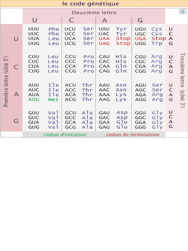 03 - Code - Genetique - XL - JPG 1,119 × 1,046 Pixels | PDF