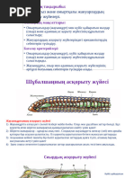 Орыстар əйелінің құрбысын көзінше сипайды