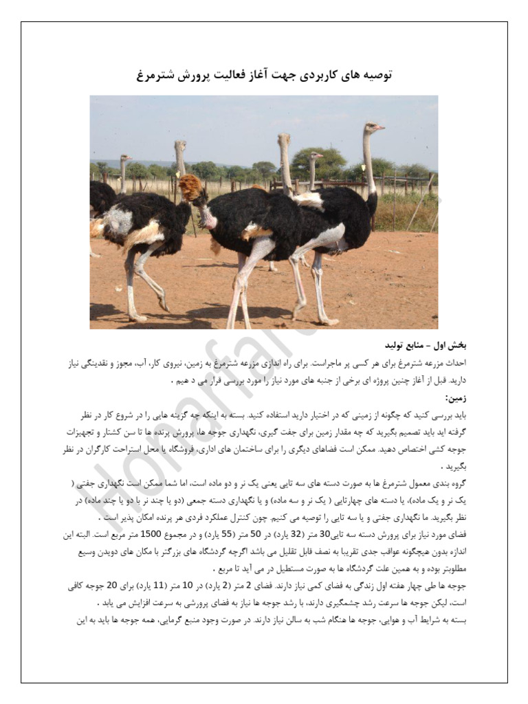 ر د ز- à ç à- ز à | PDF