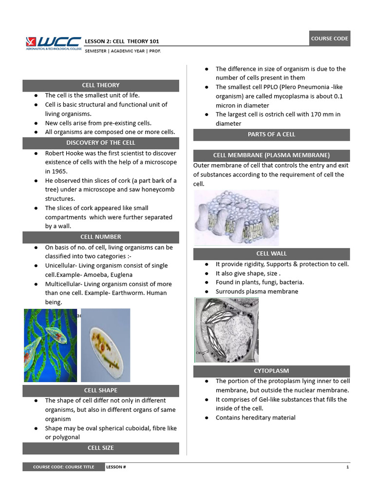 Gen Bio Lesson 2 - Cell Theory 101 | PDF | Cell (Biology) | Organelle