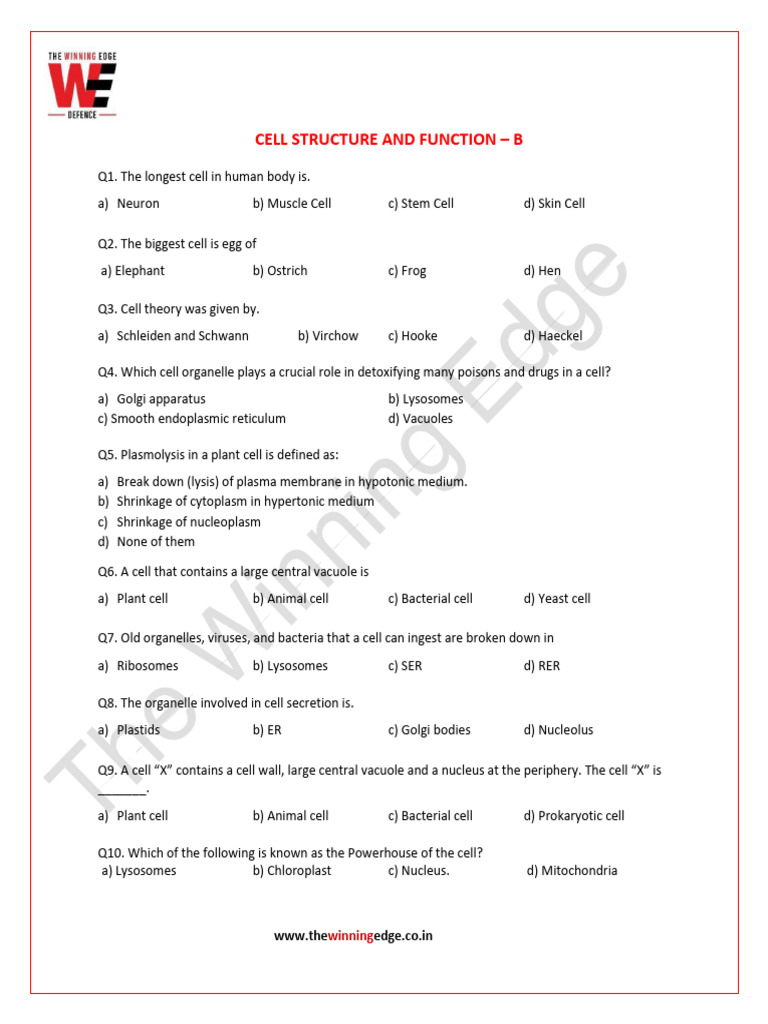 Cell Structure and Function - B | PDF