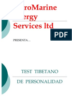 PetroMarine Energy Services LTD Test - de - Personalidad - Tibetano-11888